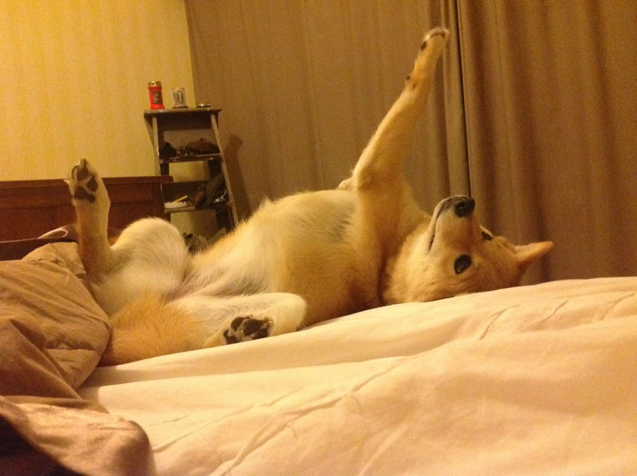 中国女篮提升攻防转换判断力，中国女篮提升攻防转换判断力的方法