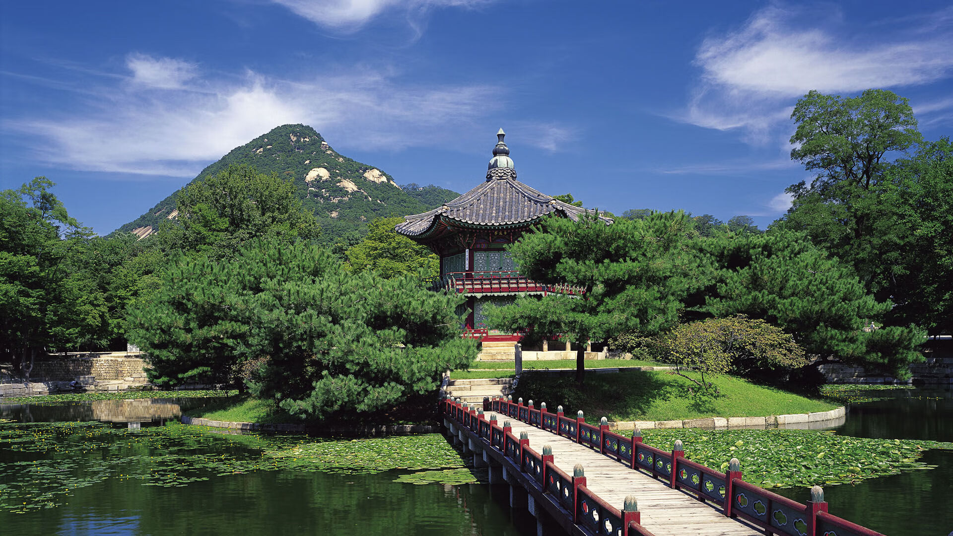 国家队技战术复盘缺乏多平台公开解读,国家队战斗方式