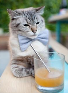 巴黎边中结合制造出更多破门机会,巴黎边界