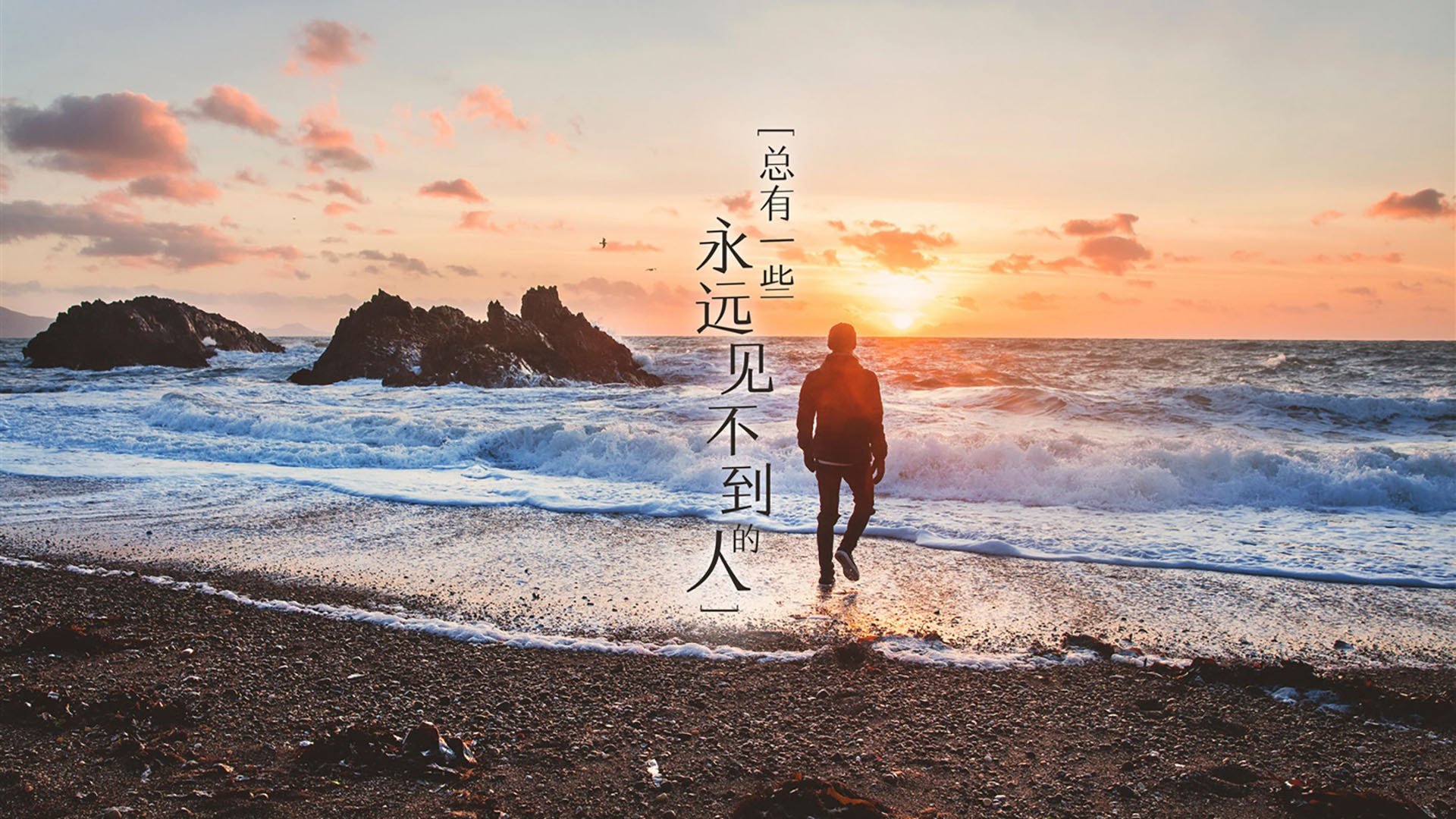 自由泳前15米冲刺数据首次曝光,自由泳距离