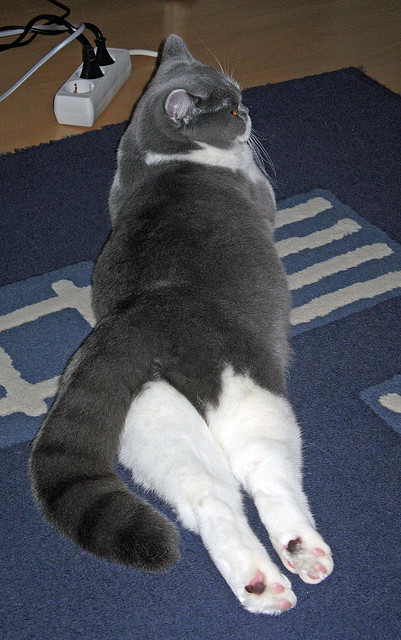 青训人才选拔机制不具开放性,青训选拔赛