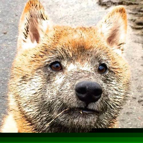 高校体育课堂引入智能穿戴设备监测数据，校园智能体育