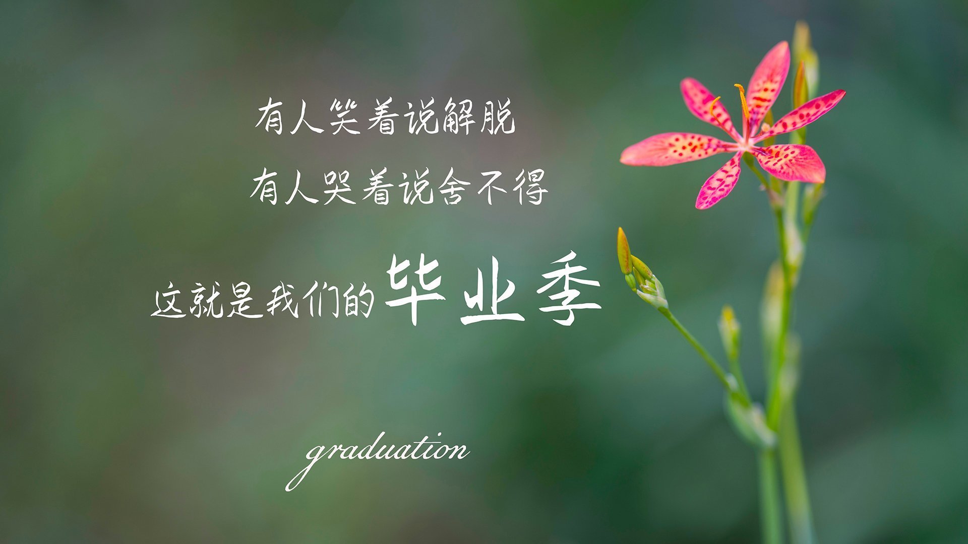 “帕布罗·马特拉的脚踏实地与高超球技,继续为阿根廷美洲狮队注入力量”