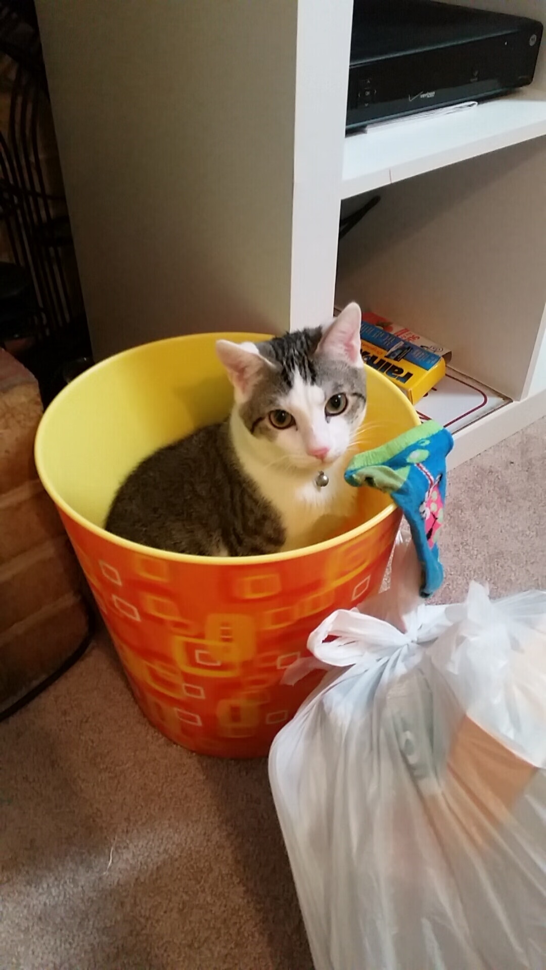 乔·波尔曼在比赛中的冷静决策,助袋鼠队锁定胜利,乔治波尔蒂