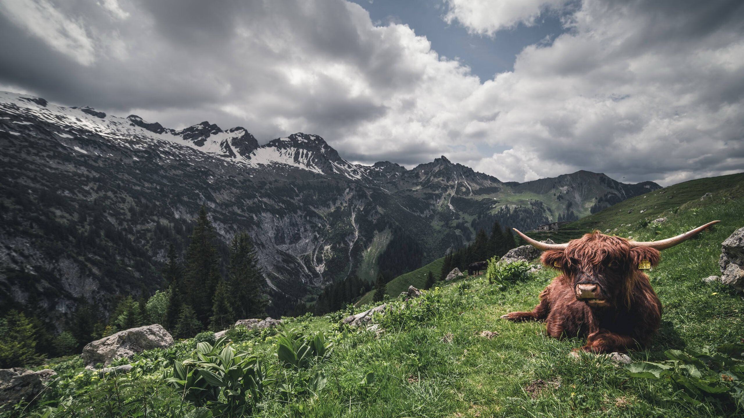 以足球为核心的体育旅游线路不断丰富,带动区域经济增长,足球作为体育改革的突破口