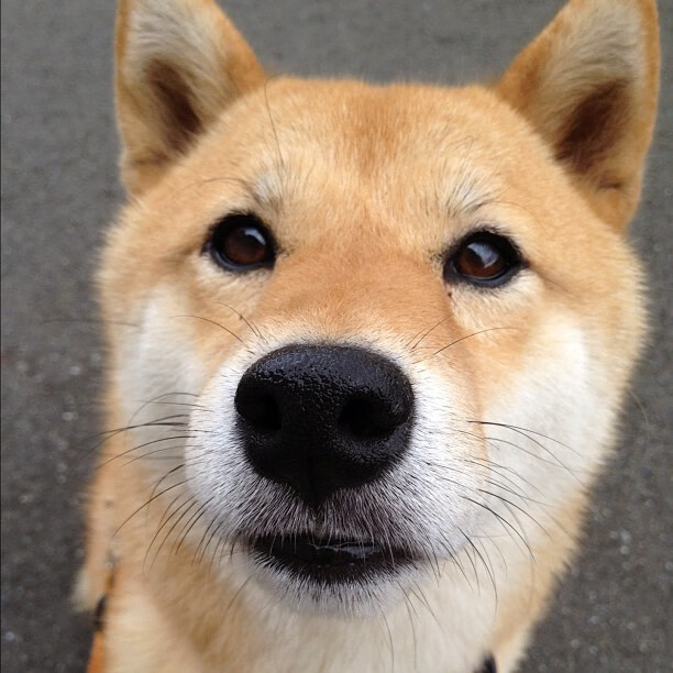 勇士二队新秀完成赛季首次三双表现，勇士第二阵容