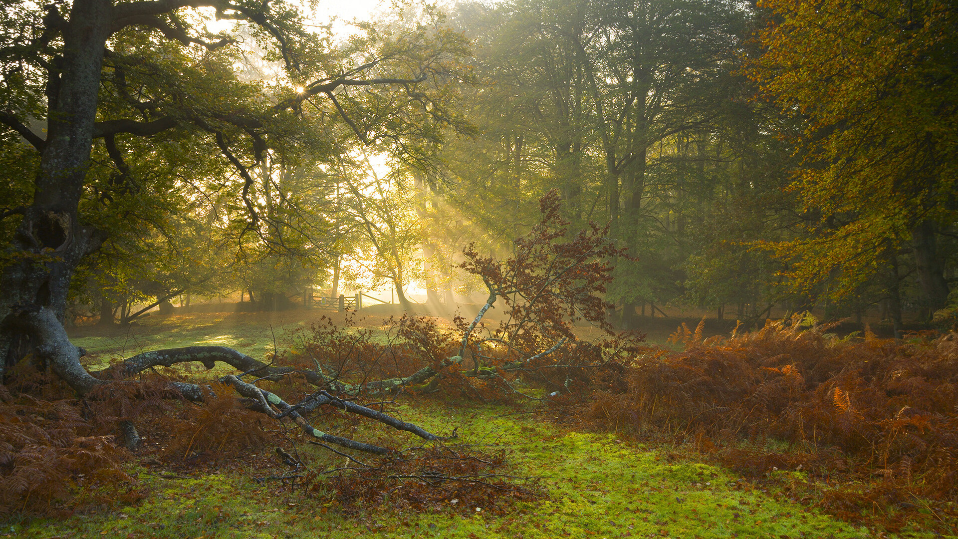 国际体育论坛探讨未来发展新趋势，国际体育产业发展报告