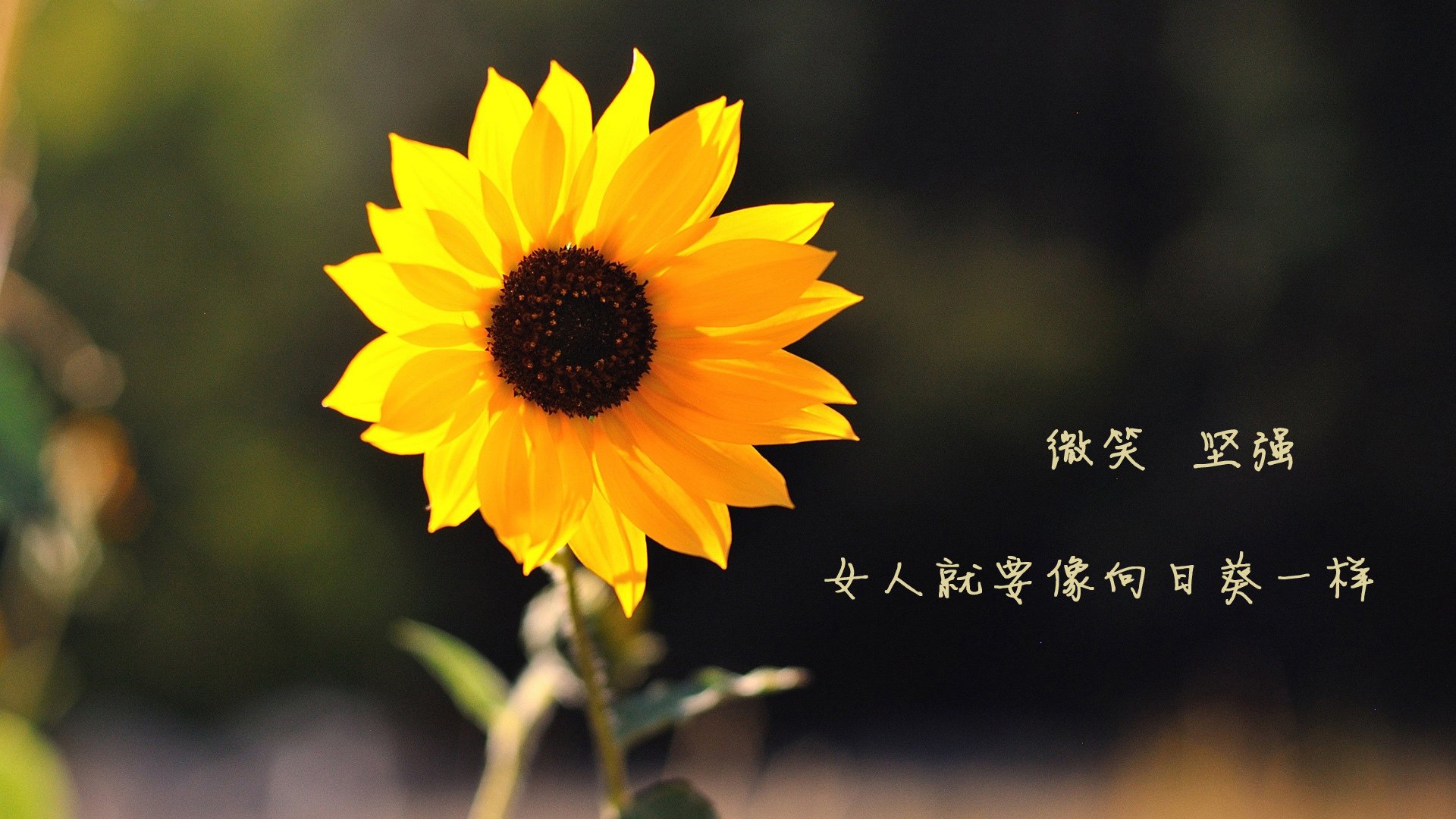 城市间足球邀请赛密集举办提高中小俱乐部曝光度，市级足球联赛