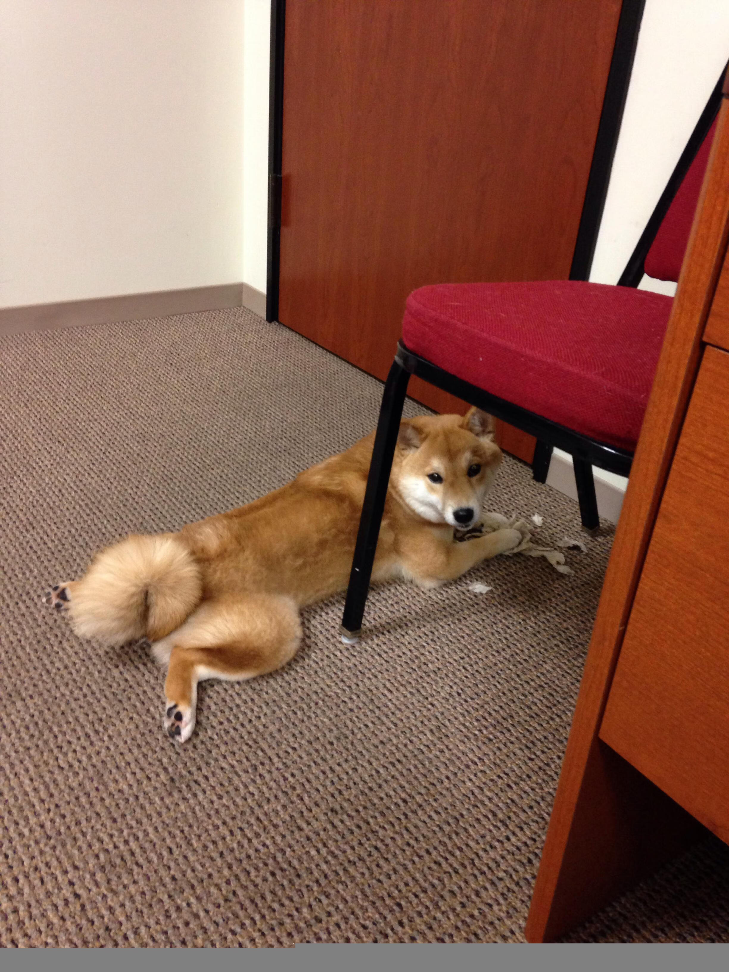 爱游戏下载-德克斯赛场风采尽显未来潜力，德克斯户外运动公司