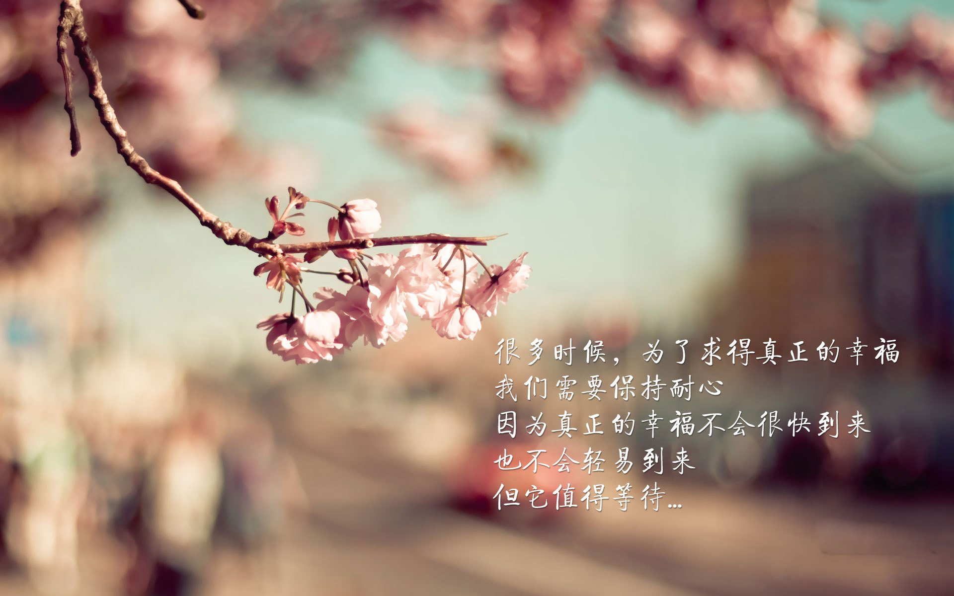 爱游戏官方-斯滕伯根决赛表现引发媒体关注，斯滕伯格的著作有哪些