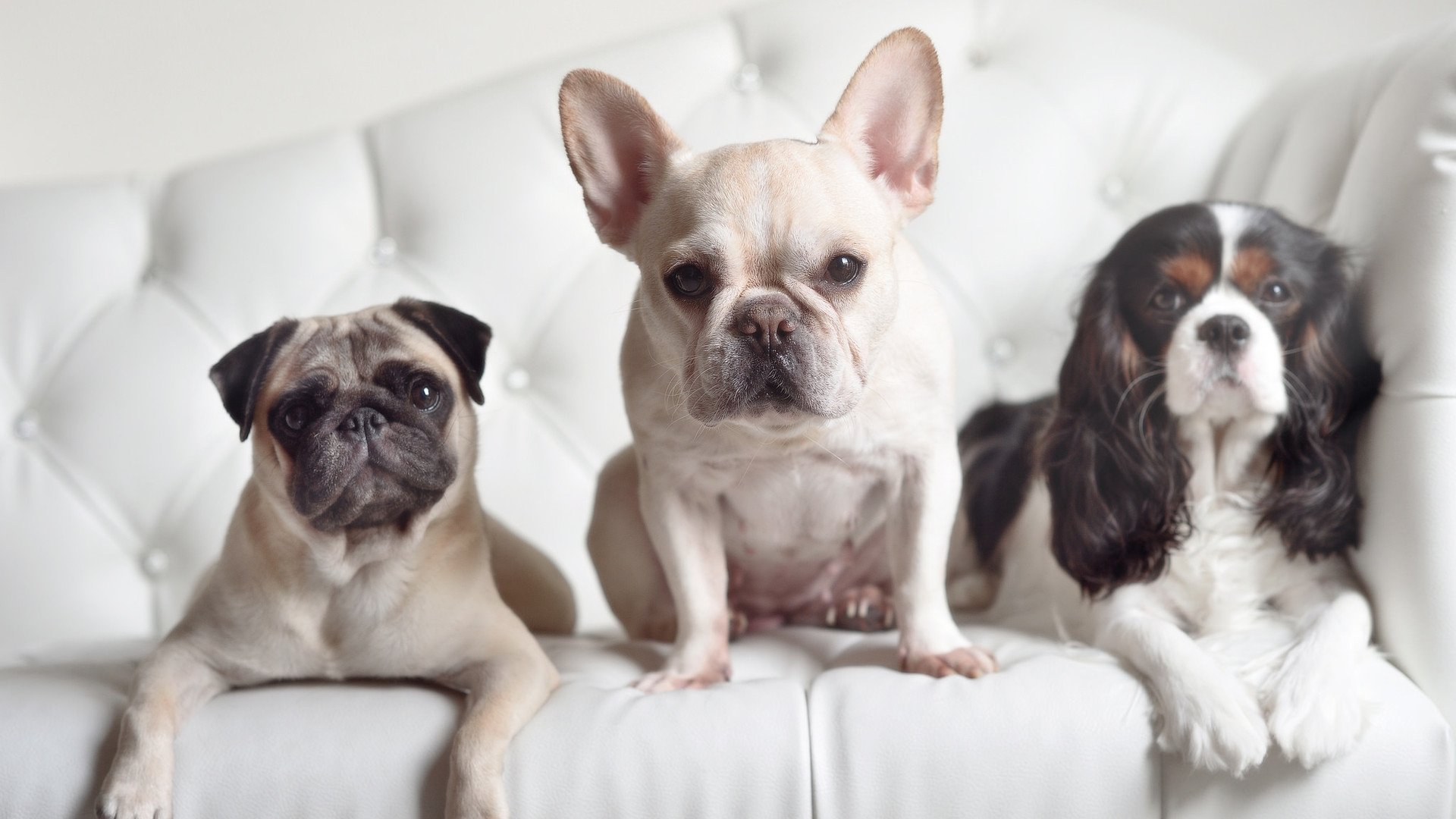 约翰·恩多耶-布鲁阿尔泳池内外双重突破，布鲁诺·恩里克