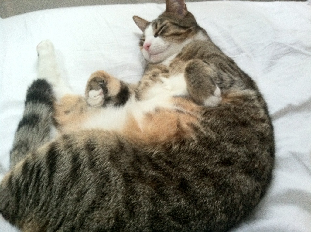 约翰·恩多耶-布鲁阿尔泳池内外双重突破，布鲁诺·恩里克