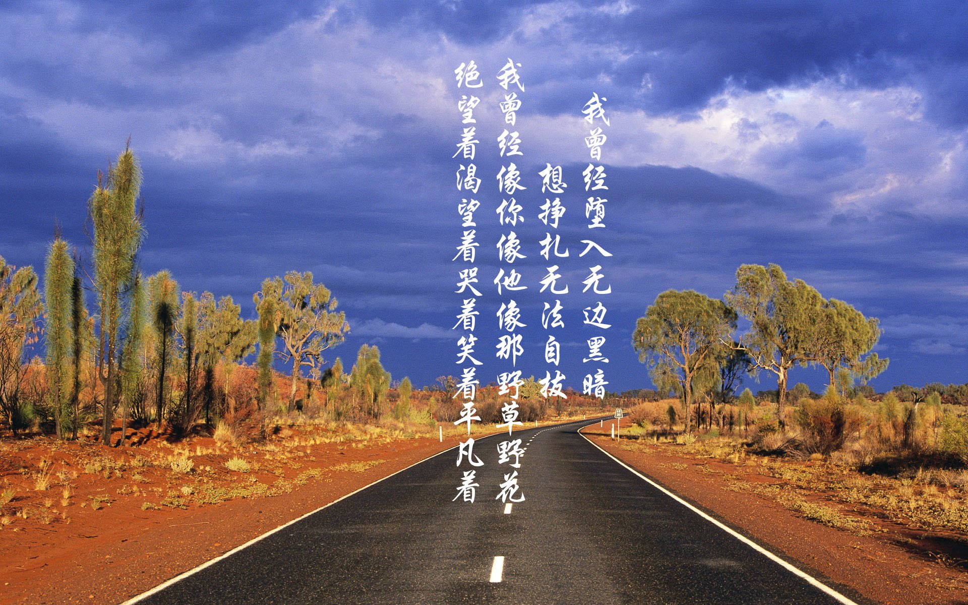 爱游戏体育app-美洲杯抢眼表现：个人技艺让人拍案叫绝，美洲杯怎么样