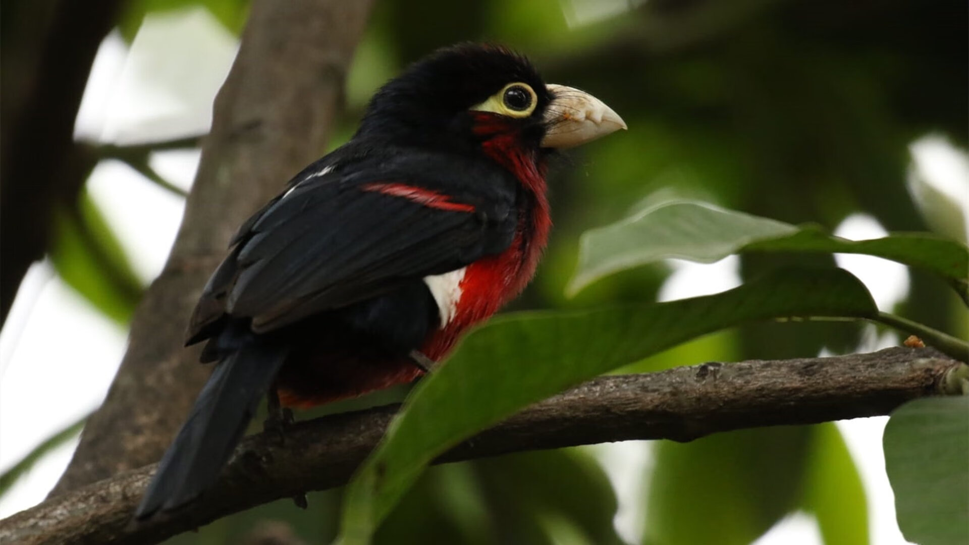 AYX GAME-长距离体能分配更科学有效，长距离跑中,身体各系统工作步调处于