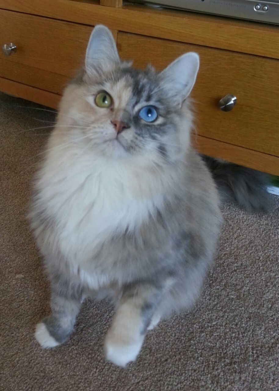 爱游戏平台-三场关键比赛意外，德甲第四轮积分榜洗牌，德甲2020-2021积分